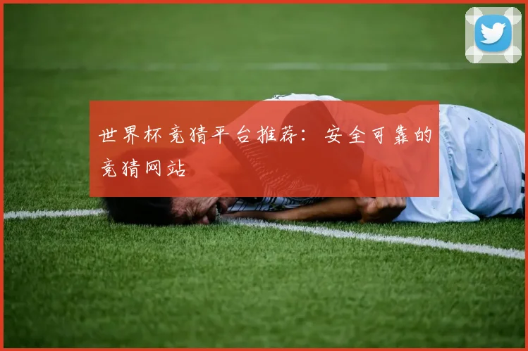 世界杯竞猜平台推荐：安全可靠的竞猜网站