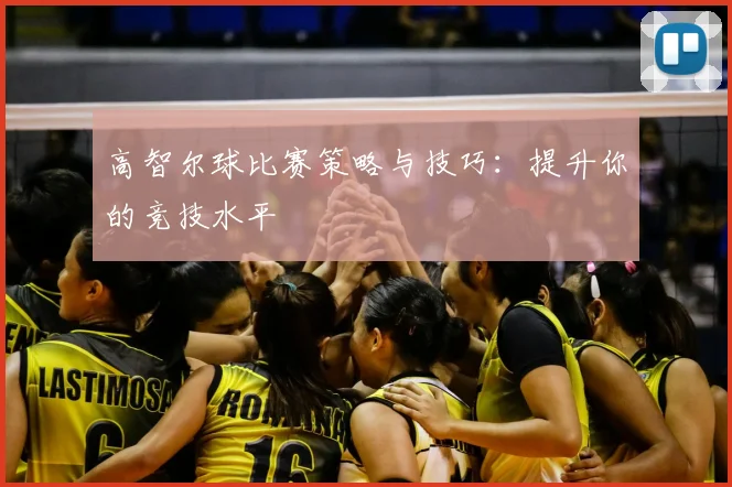 高智尔球比赛策略与技巧：提升你的竞技水平