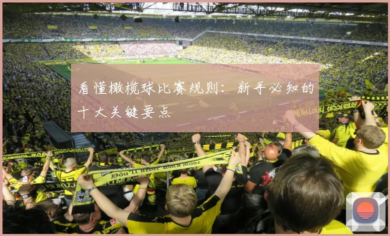 看懂橄榄球比赛规则：新手必知的十大关键要点